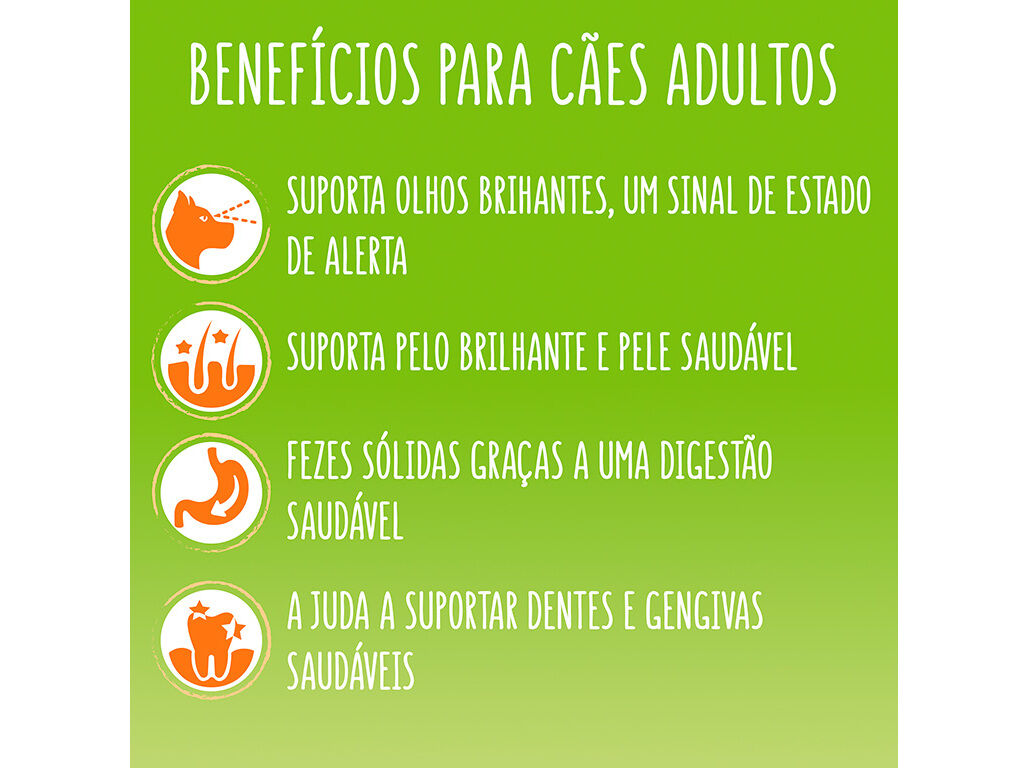 RA&Ccedil;&Atilde;O C&Atilde;O FRISKIES MINI MENU FRANGO 3KG image number 2