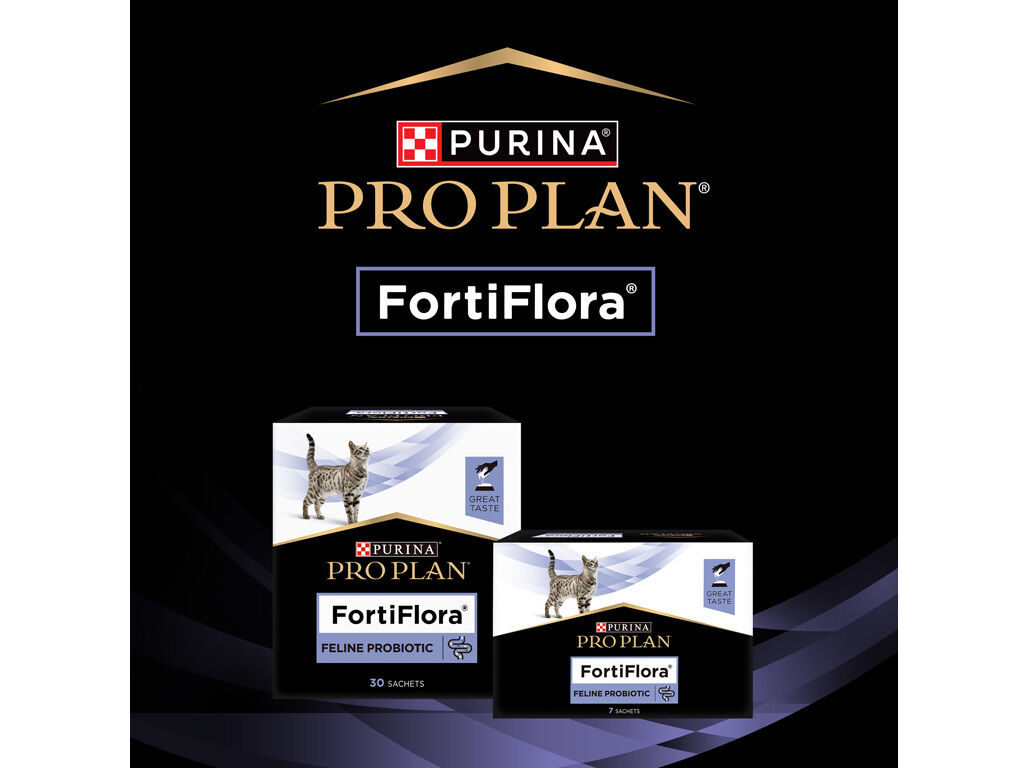 SUPLEMENTO PROBI&Oacute;TICO PRO PLAN GATO FORTIFLORA 7X1G image number 11