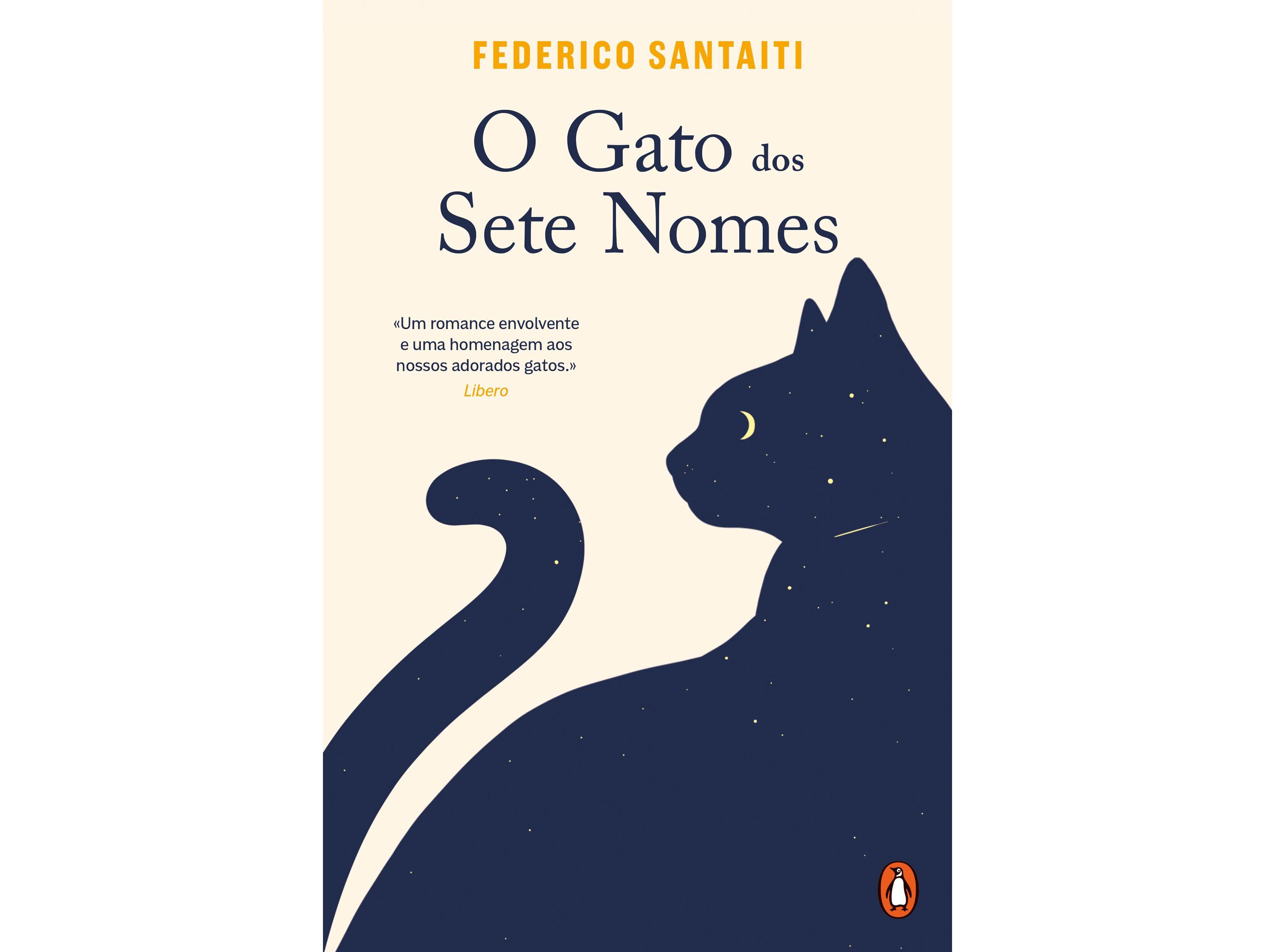 LIVRO O GATO DOS SETE NOMES DE FEDERICO SANTAITI image number 0