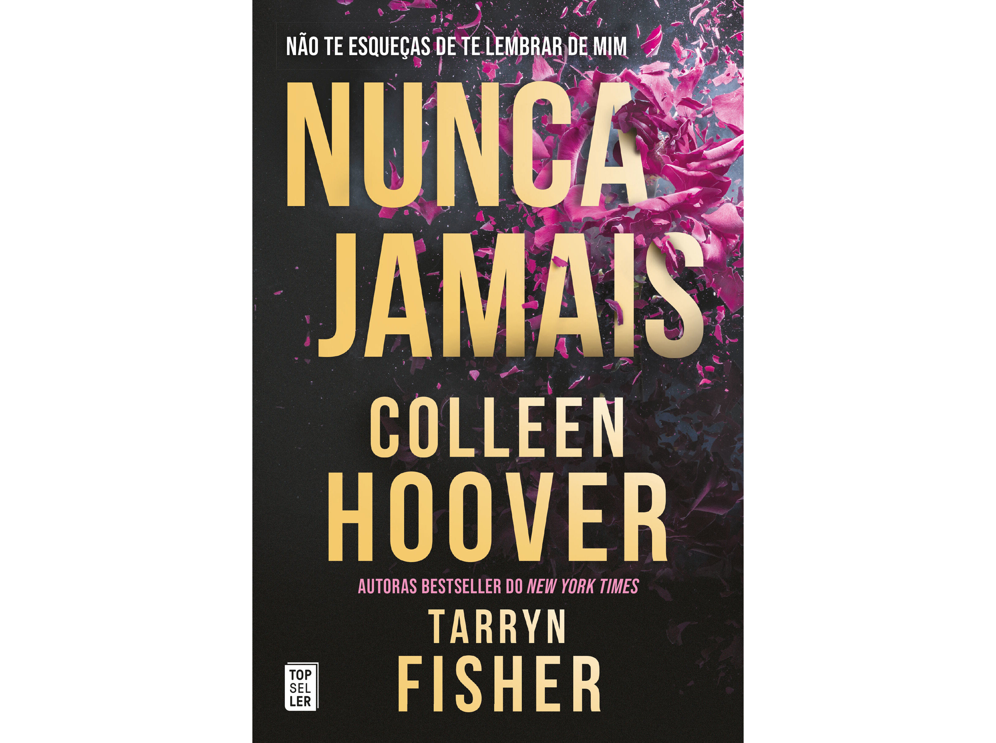 LIVRO NUNCA JAMAIS DE COLLEEN HOOVER E TARRYN FISHER
