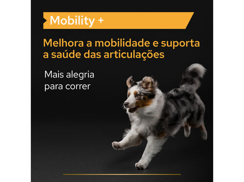 SUPLEMENTO PRO PLAN MOBILITY CÃO 60G image number 1