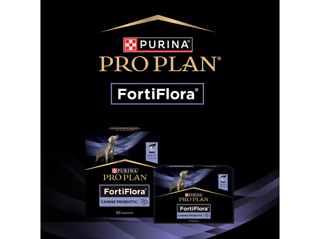 SUPLEMENTO PROBI&Oacute;TICO PRO PLAN C&Atilde;O FORTIFLORA 7X1G image number 11