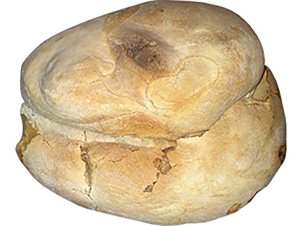 P&Atilde;O REGIONAL M&Eacute;DIO 800G PRODUTO LOCAL