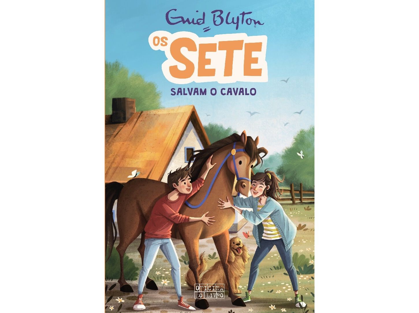 LIVRO OS SETE SALVAM O CAVALO DE: ENID BLYTON