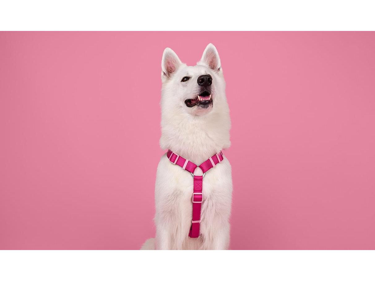 ARN&Ecirc;S PARA C&Atilde;O DASHI ELEMENTS PINK S image number 1