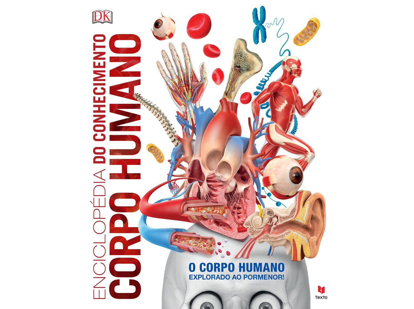 LIVRO ENCICLOPEDIA CONHECIMENTO - CORPO HUMANO image number 0