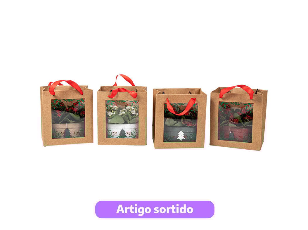 CONJUNTO 2 KALANCHOE MINI EM EMBALAGEM DE OFERTA VASO 6 MODELOS SORTIDOS