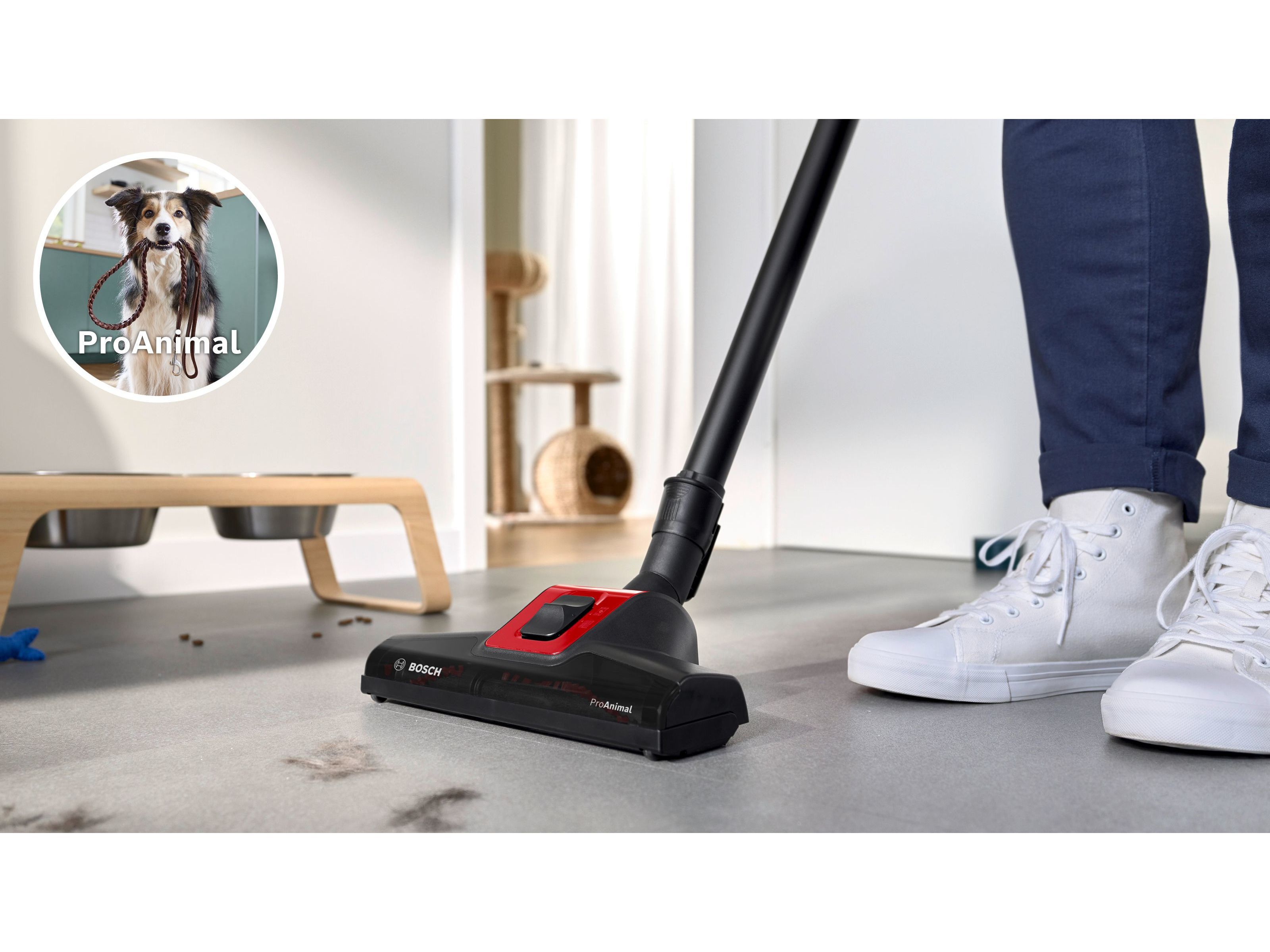 ASPIRADOR SEM SACO BOSCH BGS41PET1 SERIE 6 PROANIMAL image number 1