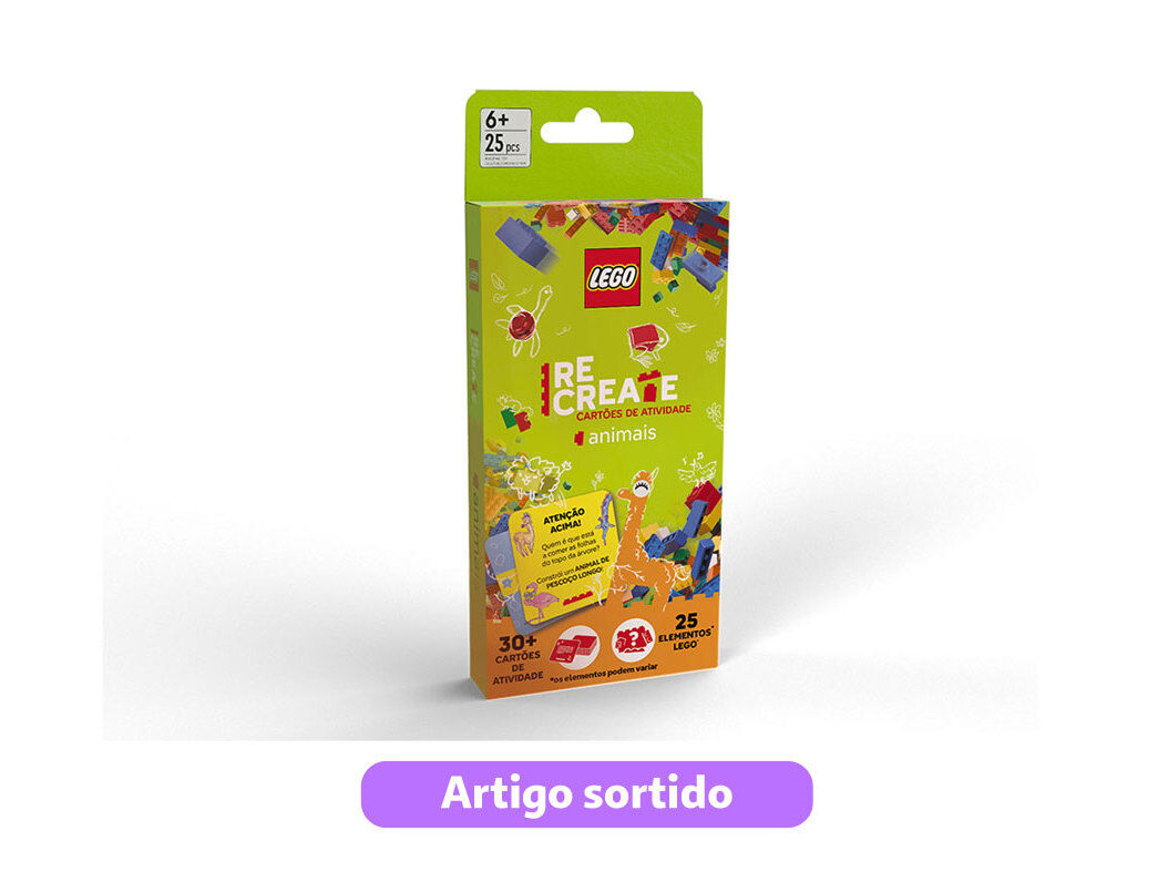 CART&Atilde;O ATIVIDADES LEGO MODELOS SORTIDOS CT93529
