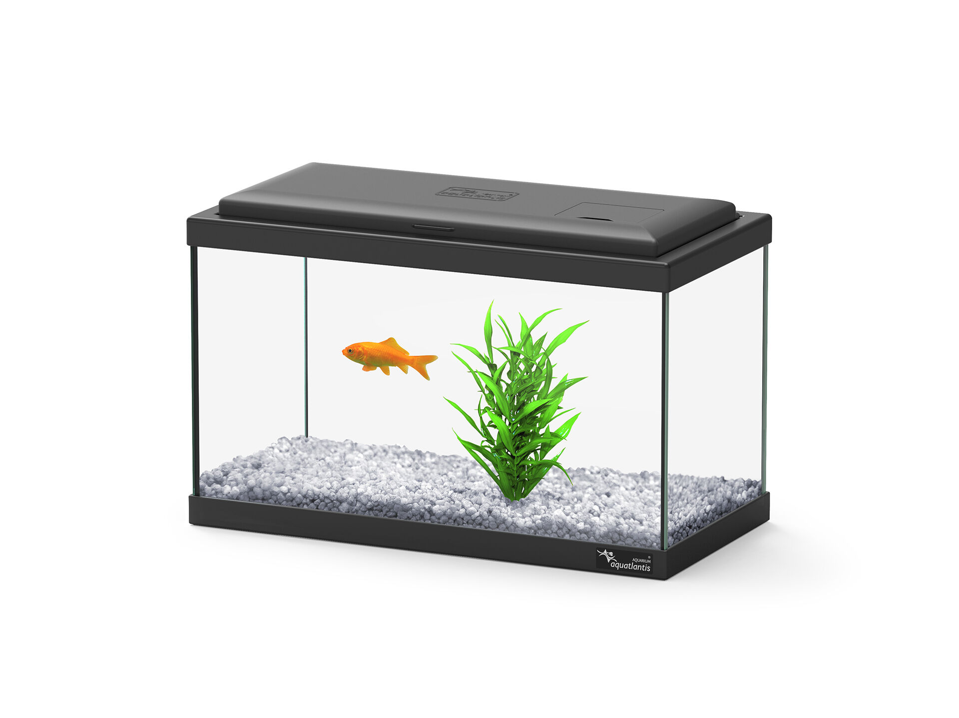 AQU&Aacute;RIO EM KIT AQUATLANTIS EXPLORER MADRID 30CM image number 1