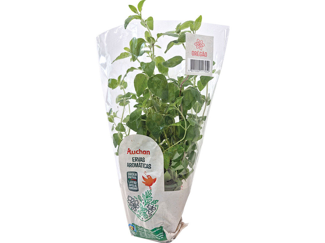 OR&Eacute;G&Atilde;O VASO AUCHAN CULTIVAMOS O BOM