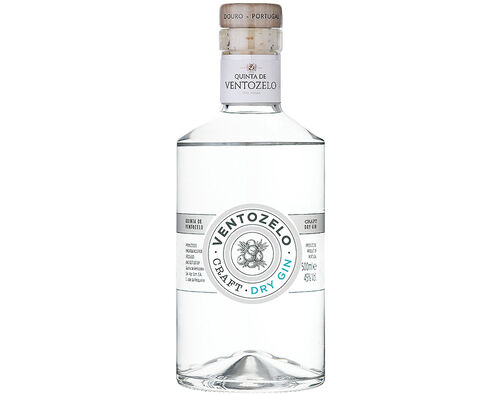 GIN VENTOZELO DRY 0.50L image number 0
