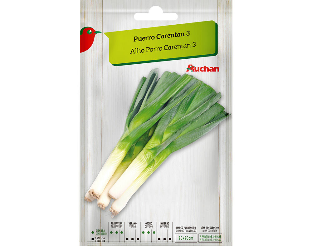 SEMENTE AUCHAN ALHO PORRO