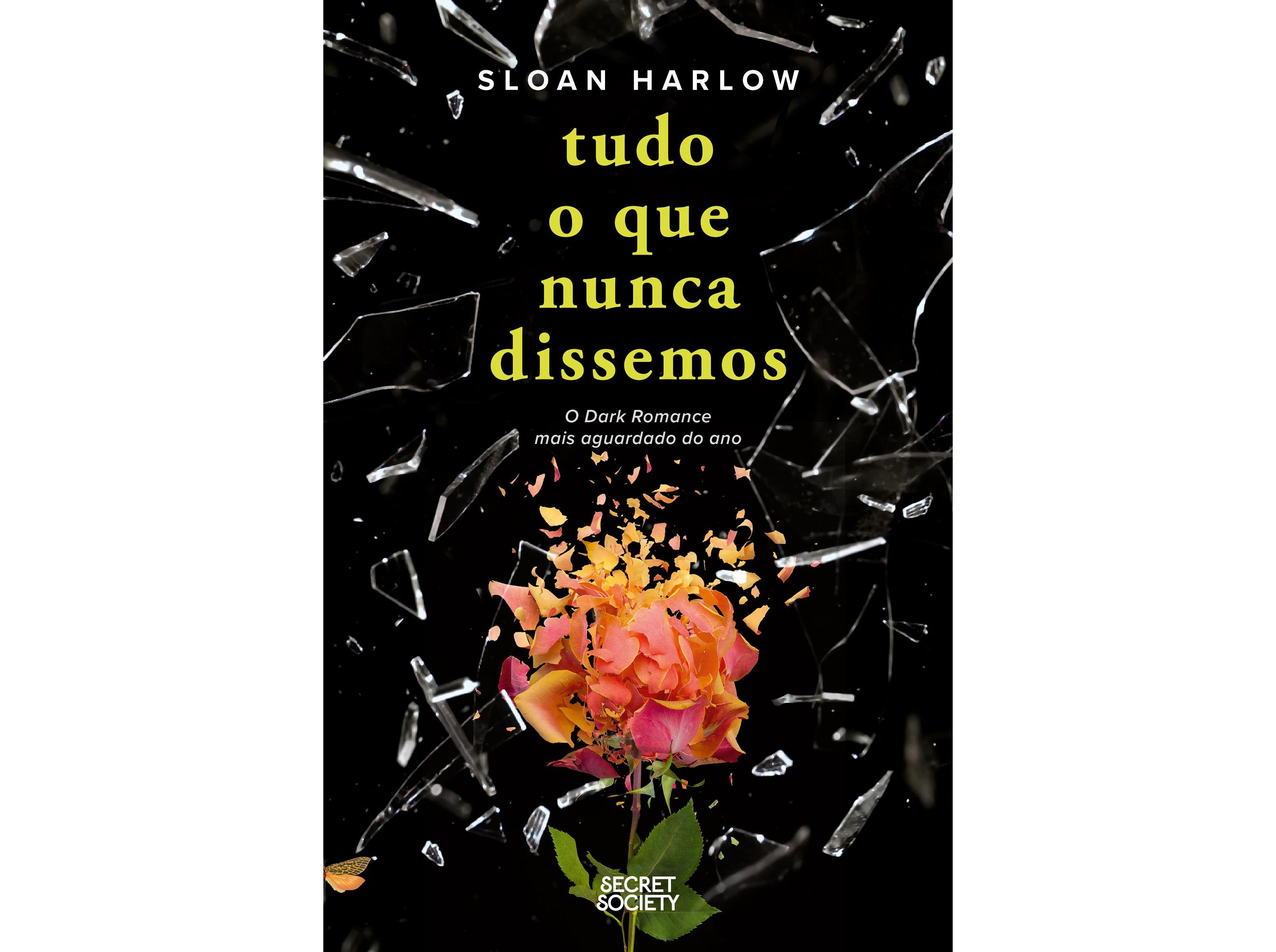 LIVRO TUDO O QUE NUNCA DISSEMOS DE SLOAN HARLOW image number 0