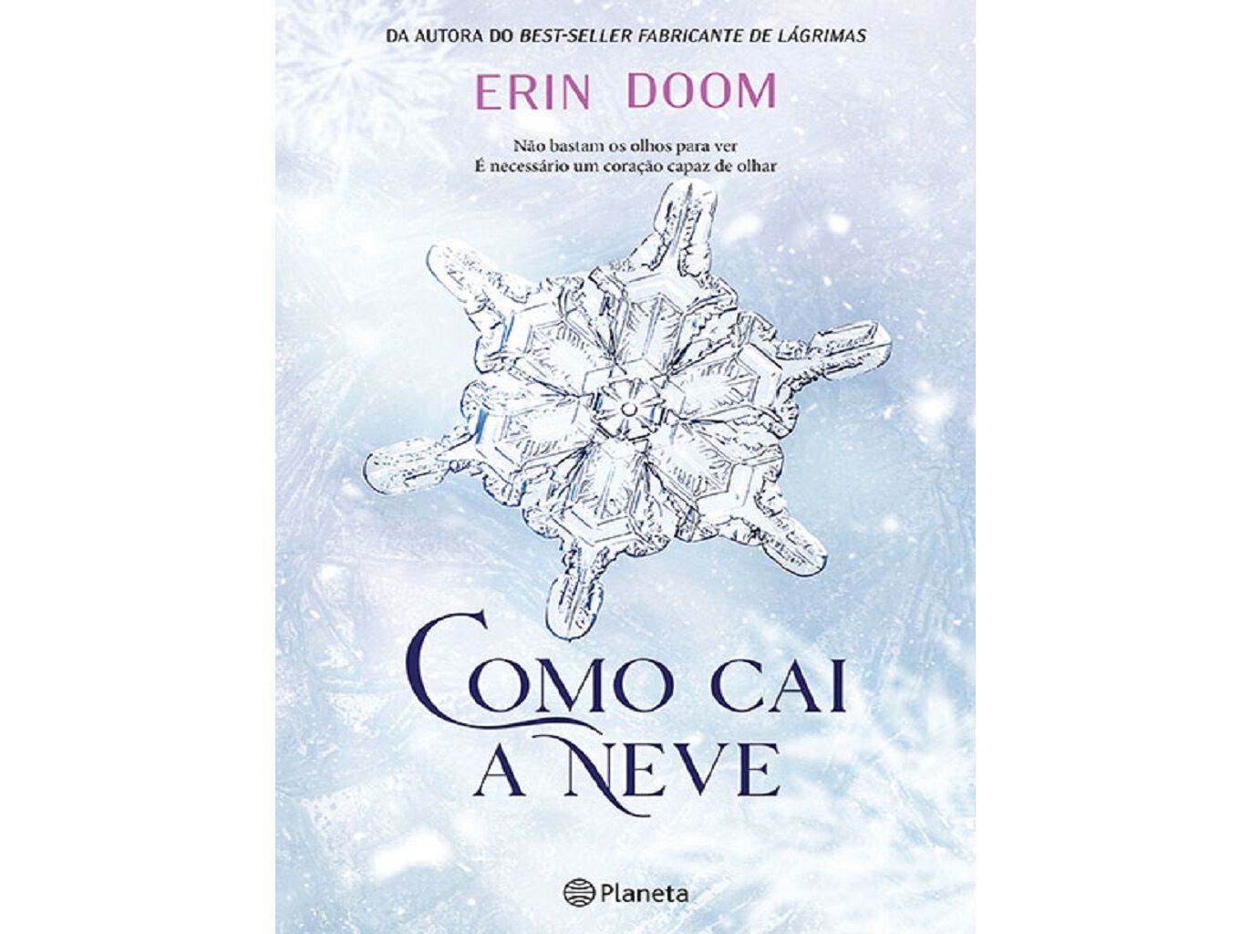 LIVRO COMO CAI A NEVE image number 0