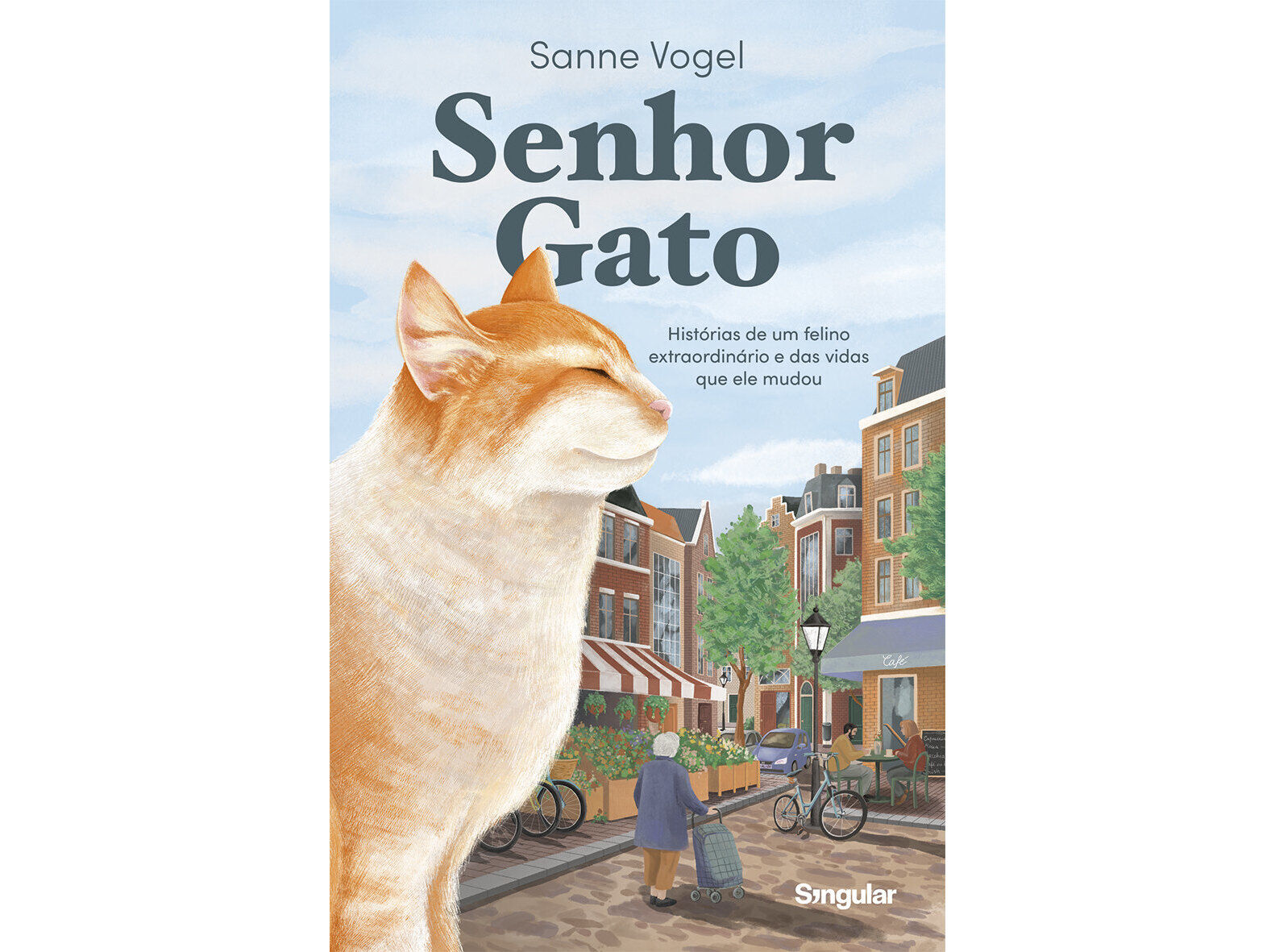 LIVRO SENHOR GATO DE SANNE VOGEL