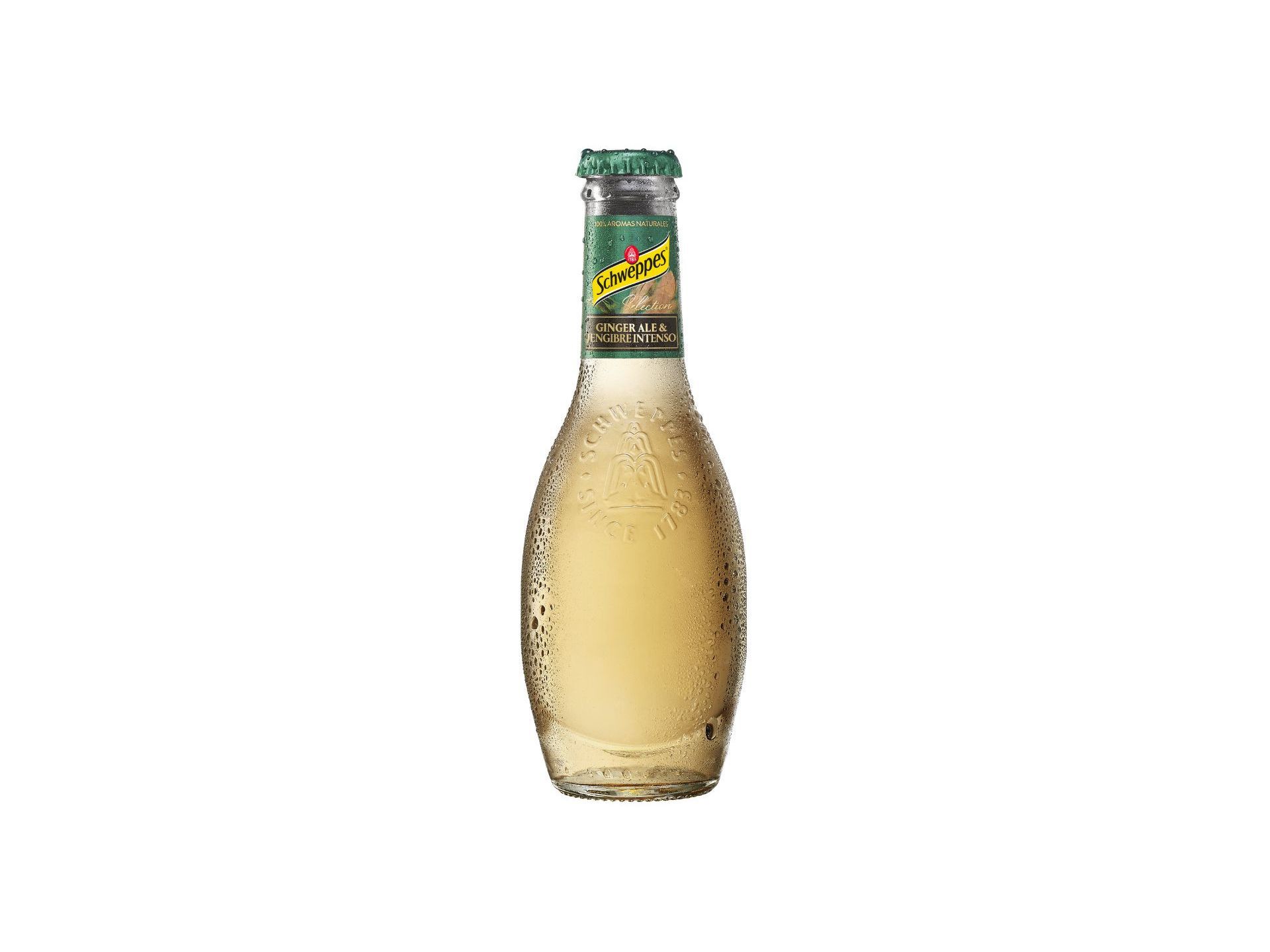 GINGER ALE SCHWEPPES PREMIUM 0.20L