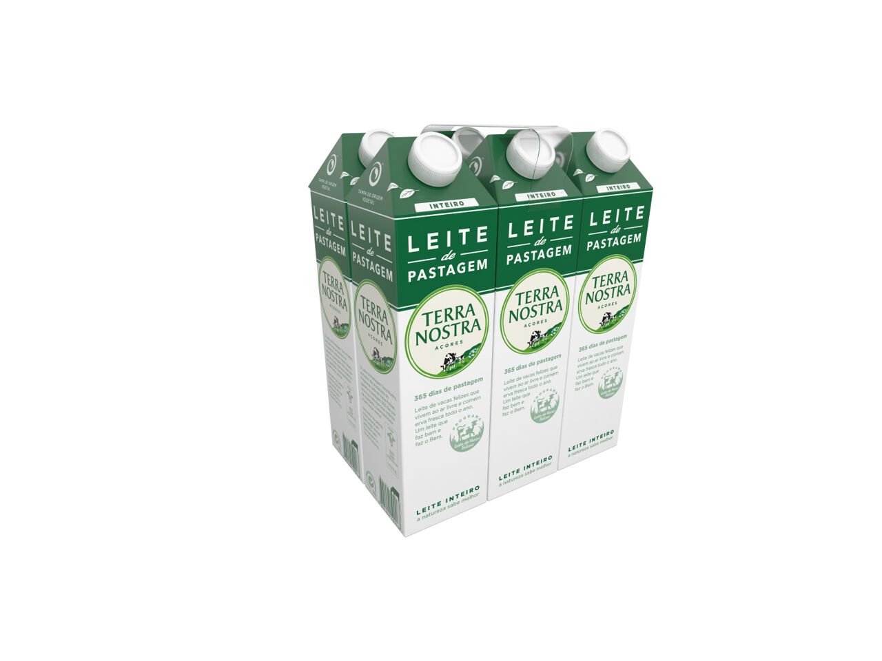 LEITE TERRA NOSTRA PASTAGEM INTEIRO 1L image number 1