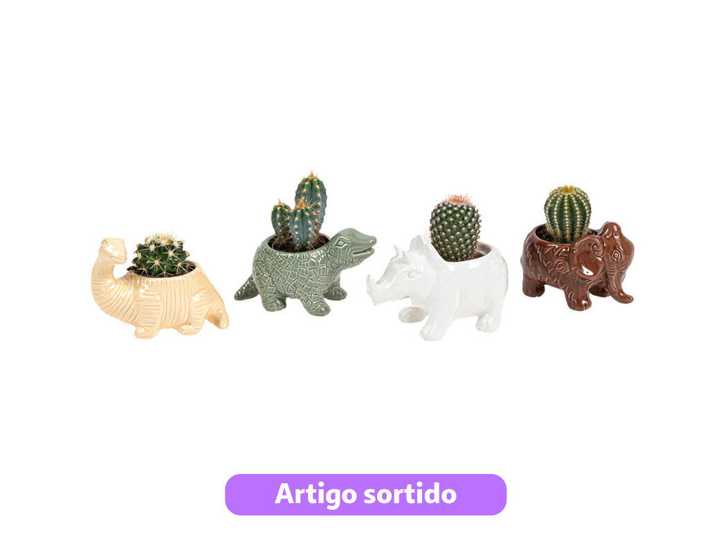 CACTUS MINI MIX VASOS CER&Acirc;MICA VASO 6 MODELOS SORTIDOS