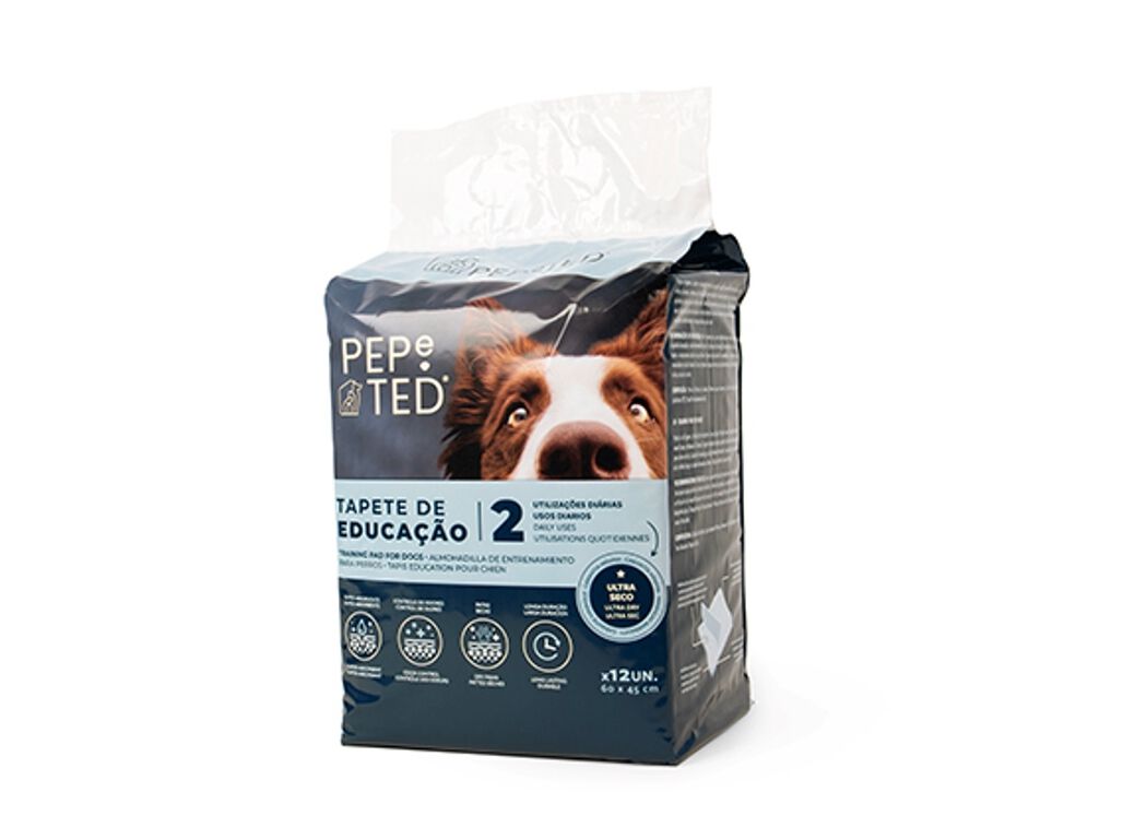 TAPETE DE EDUCA&Ccedil;&Atilde;O PEPE TED 60X45CM PACK 12 UNIDADES