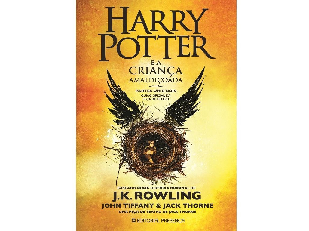 HARRY POTTER E A CRIAN&Ccedil;A AMALDI&Ccedil;OADA image number 1