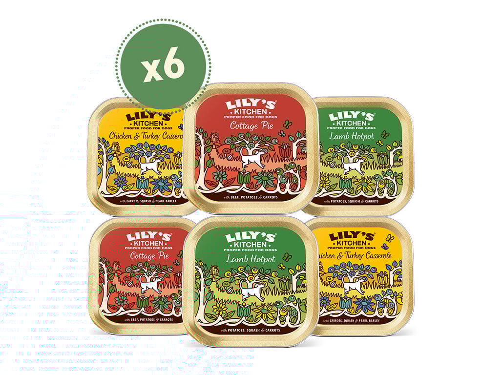 COMIDA H&Uacute;MIDA PARA C&Atilde;O LILY'S KITCHEN MULTIPACK 6X150G image number 1