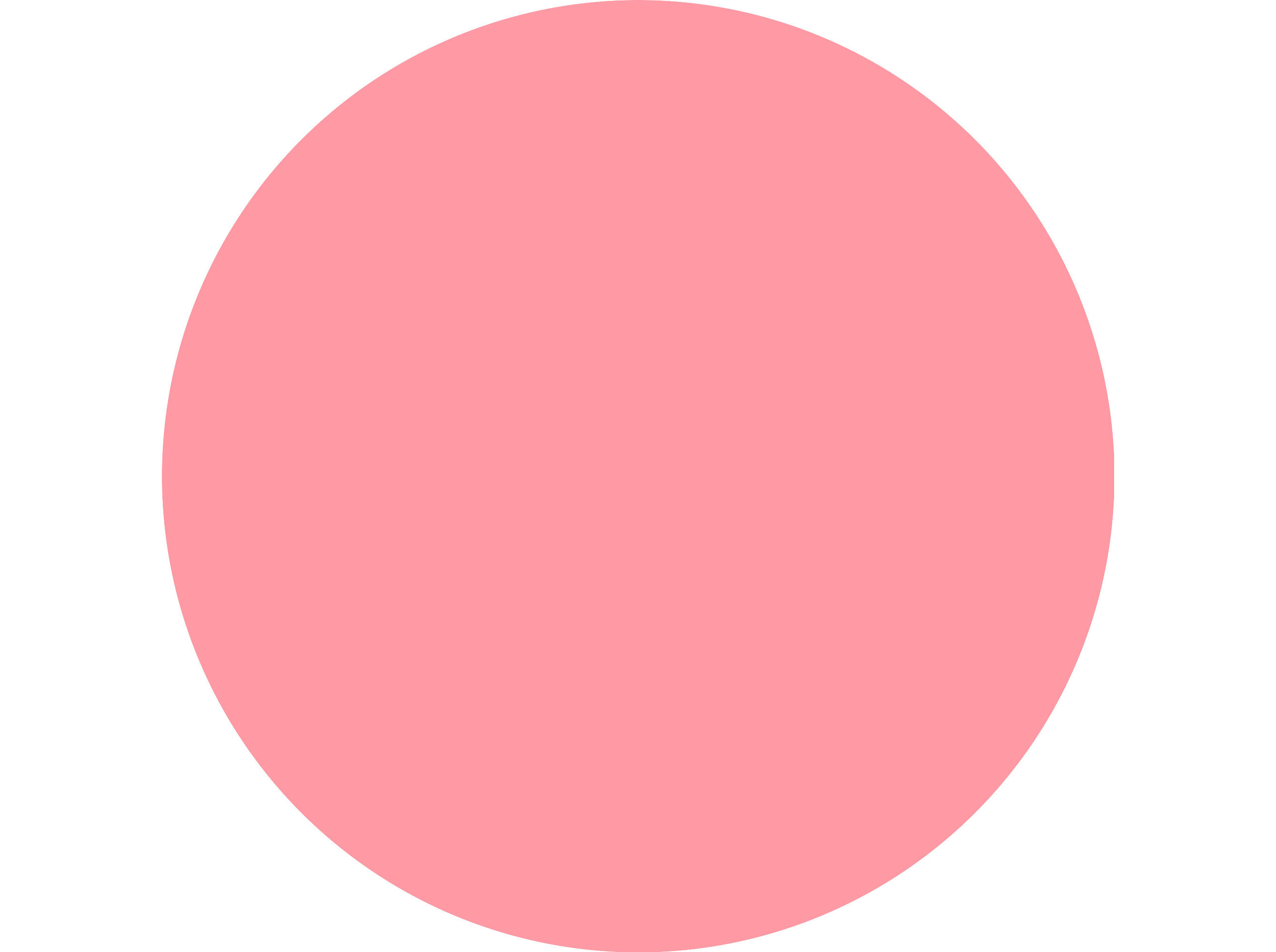 LIP OIL ESSENCE JUICY BOMB PARTY 02 image number 3