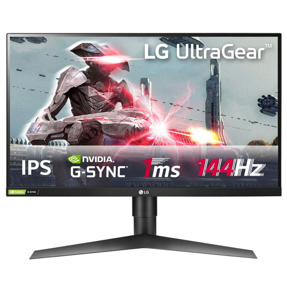 costco computer bolsa