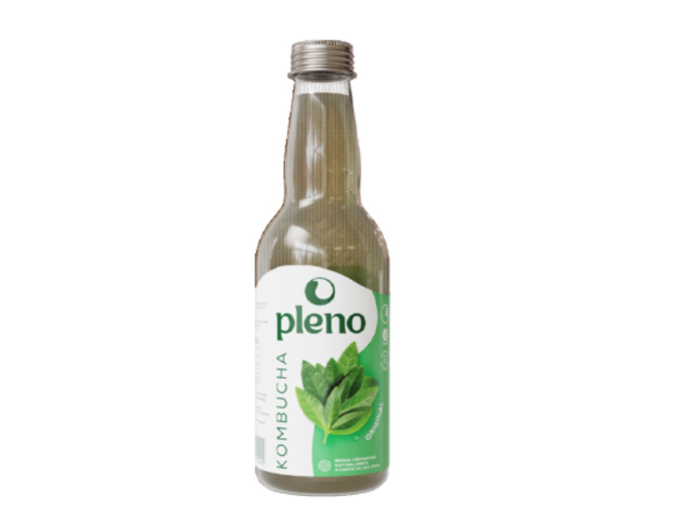 KOMBUCHA PLENO CH&Atilde; VERDE BIO 0.250ML image number 0