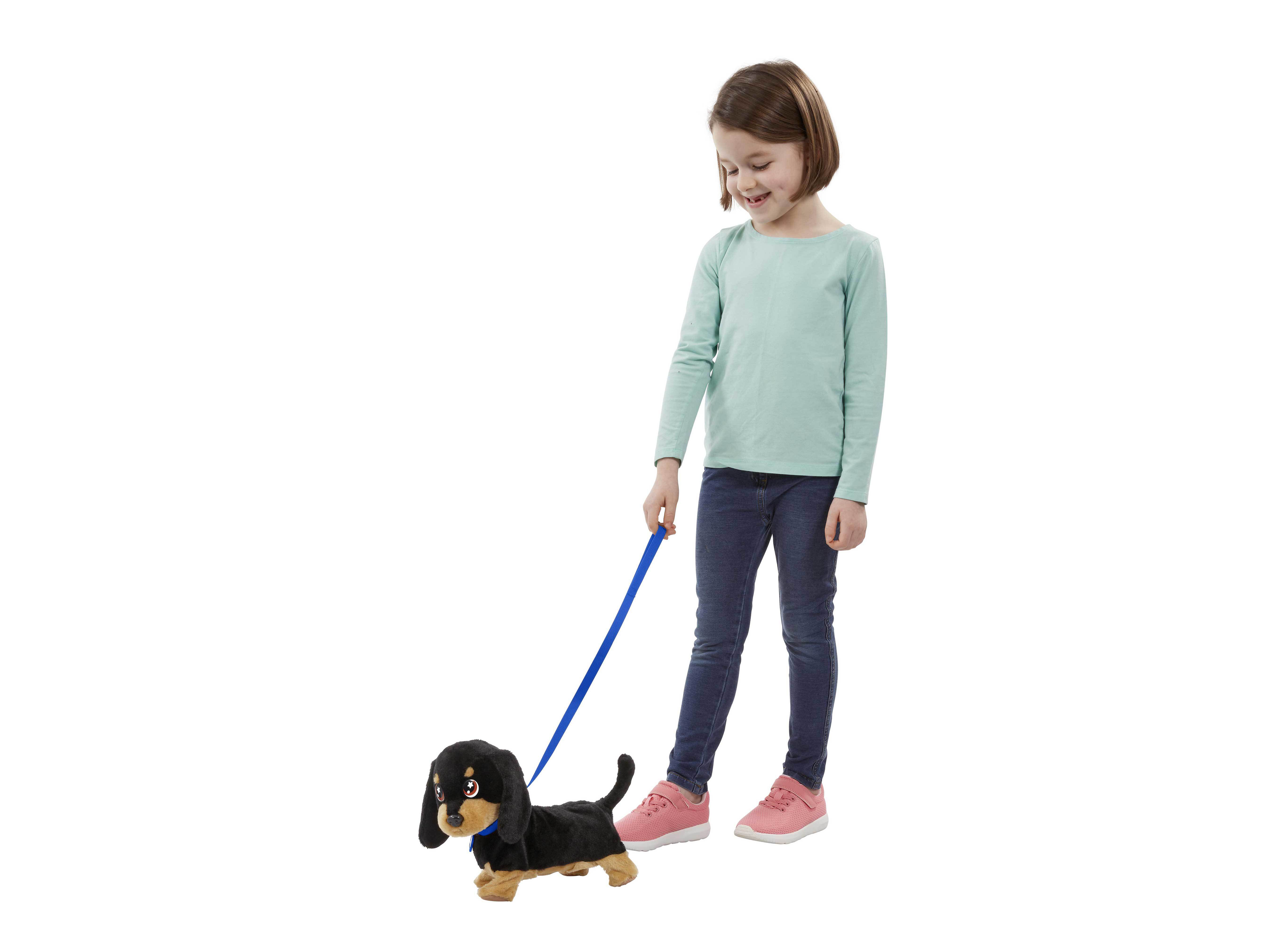 CACHORRINHO WAGGLES ANIMAGIC image number 3