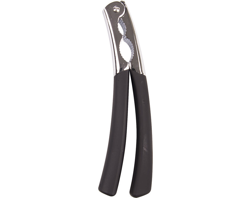 QUEBRA-NOZES ACTUEL image number 0