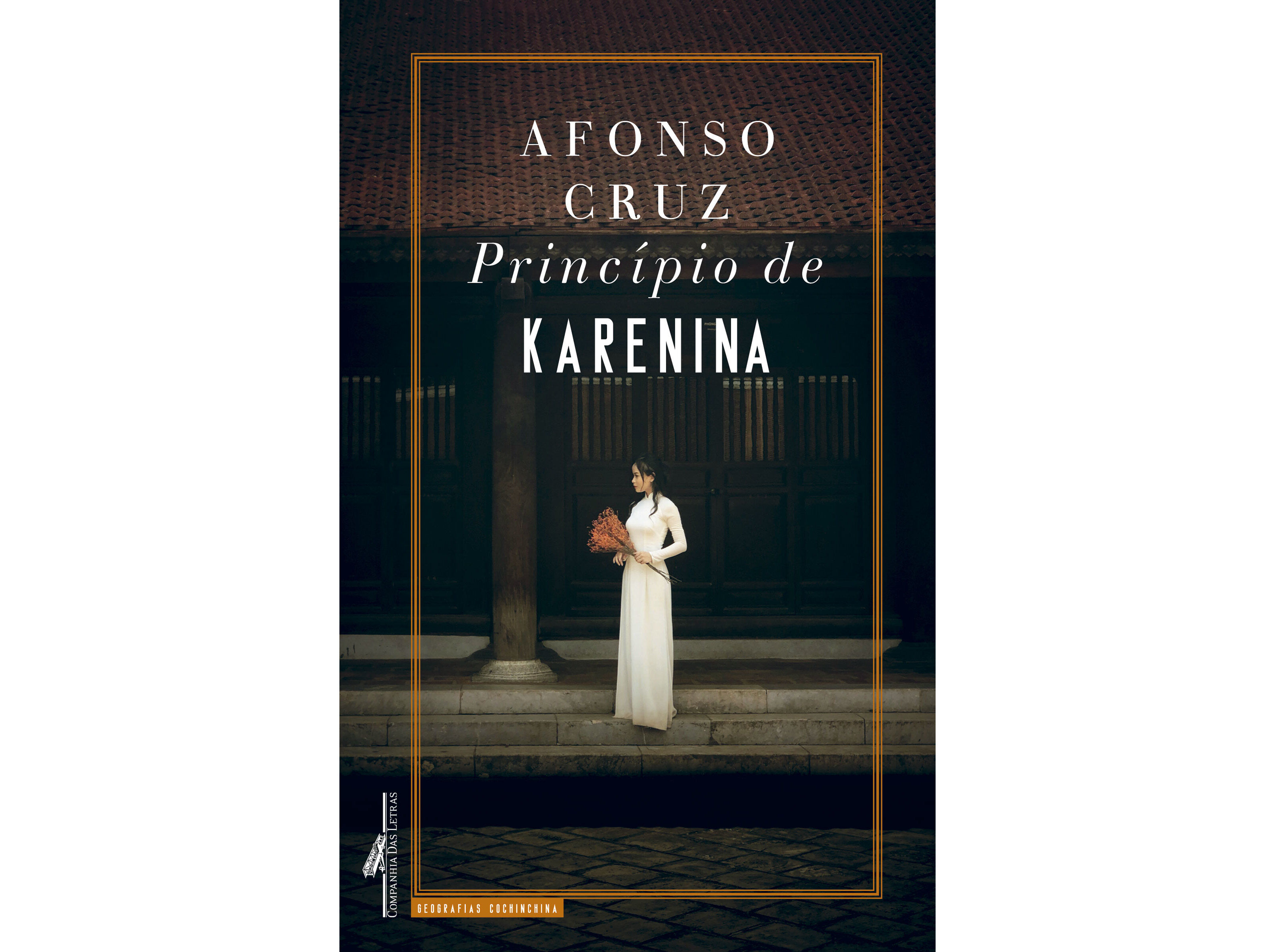 LIVRO PRINC&Iacute;PIO DE KARENINA DE AFONSO CRUZ image number 0