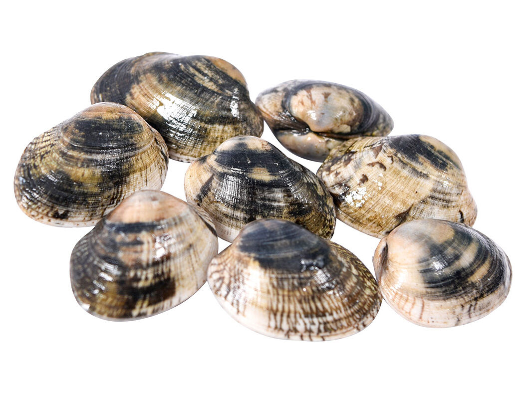 AM&Ecirc;IJOA MACHA FRESCA 500G image number 0