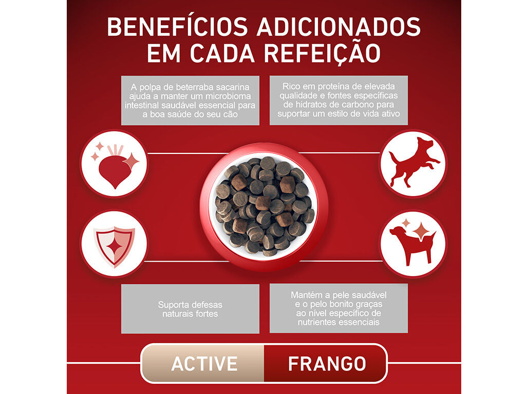 RA&Ccedil;&Atilde;O PARA C&Atilde;O PURINA ONE MINI ACTIVE COM FRANGO 3KG image number 5