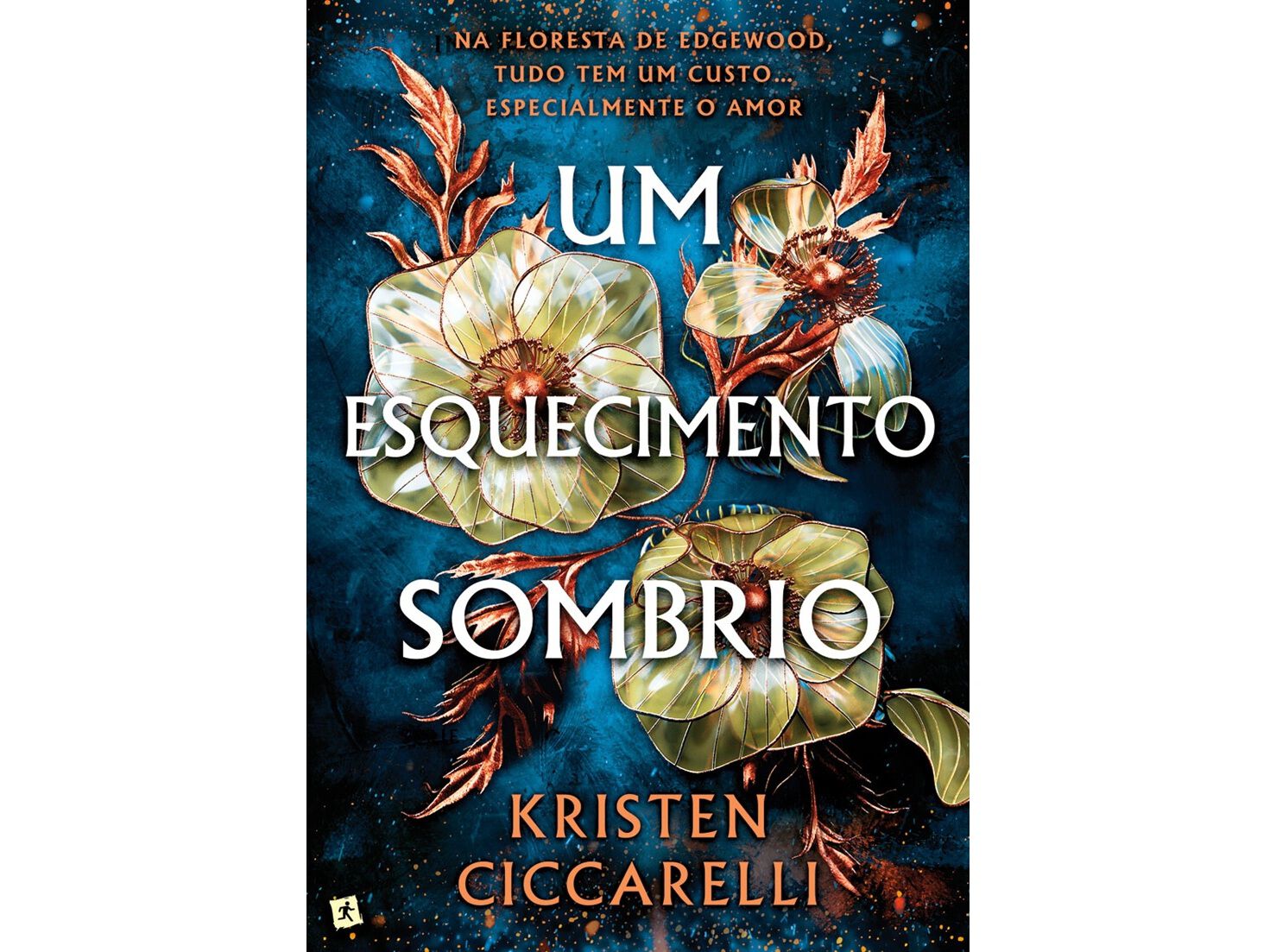 LIVRO UM ESQUECIMENTO SOMBRIO DE KRISTEN CICCARELLI image number 0