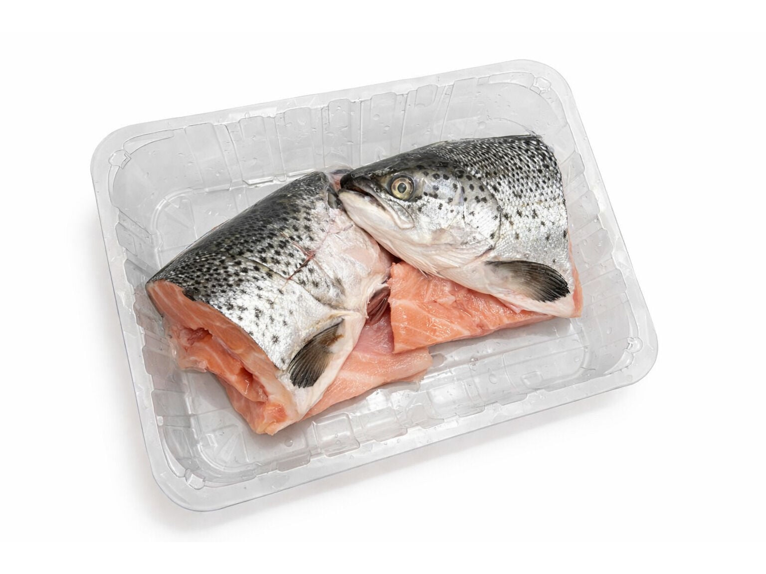 CABE&Ccedil;A SALM&Atilde;O KG