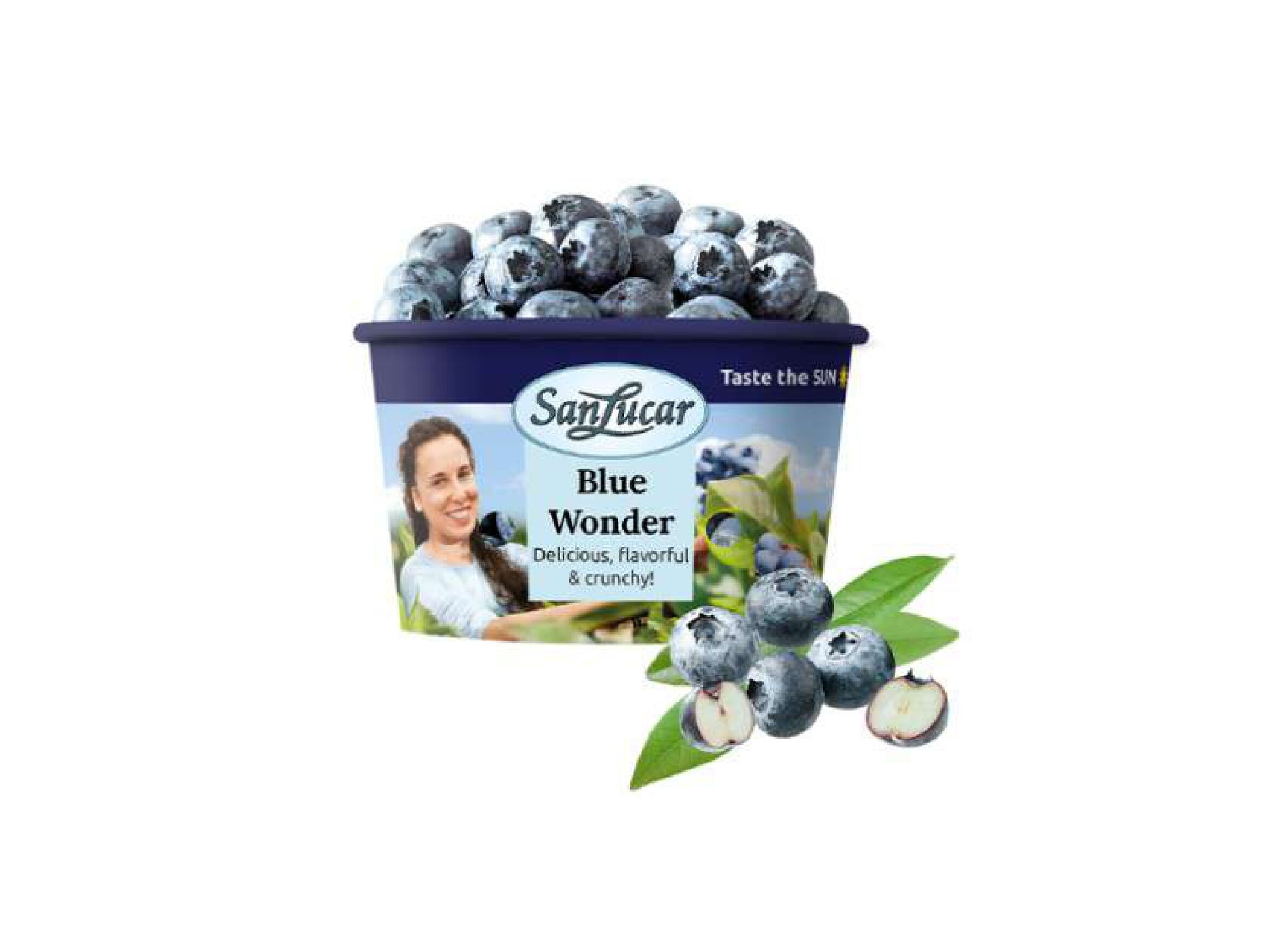 MIRTILO SAN LUCAR 125 G