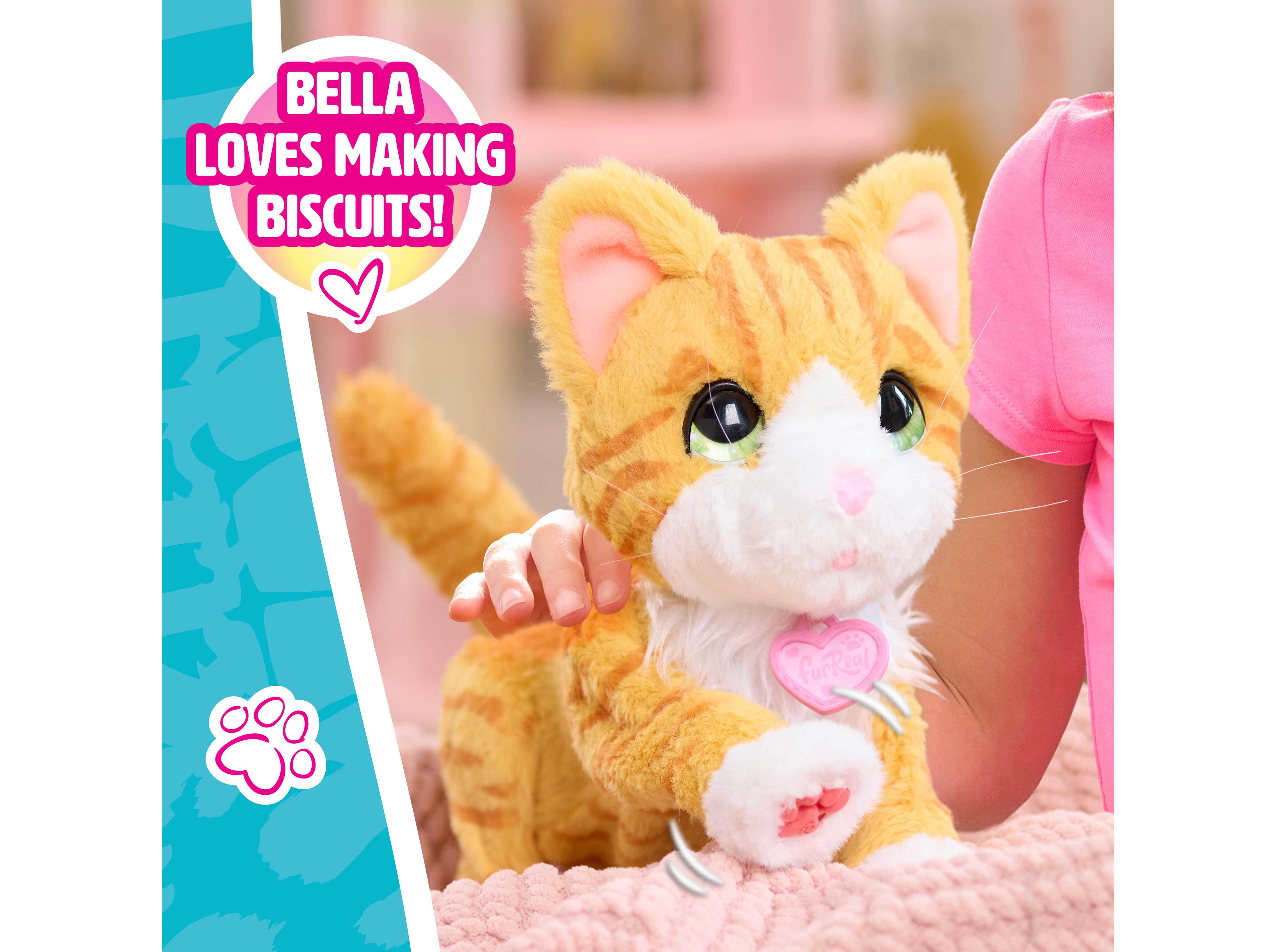 BELLA A GATINHA DOS BISCOITOS FURREAL image number 1