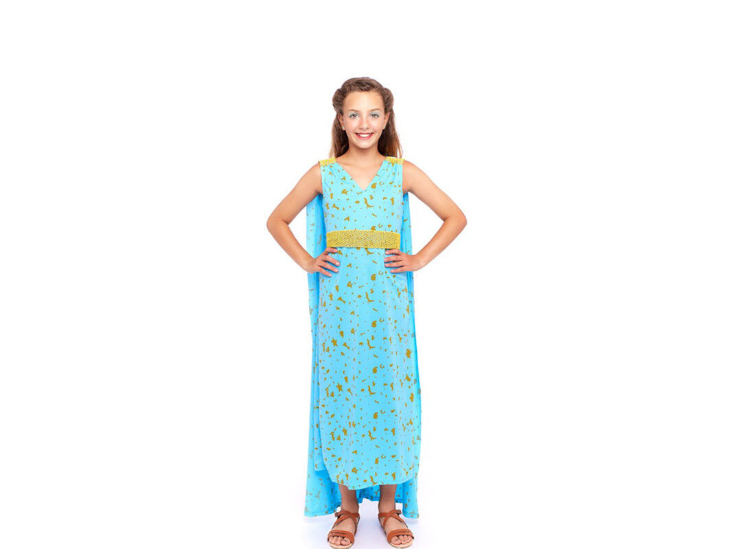 DISFARCE TOPBRANDS PRINCESA DRAG&Atilde;O 3/4 ANOS 116CM