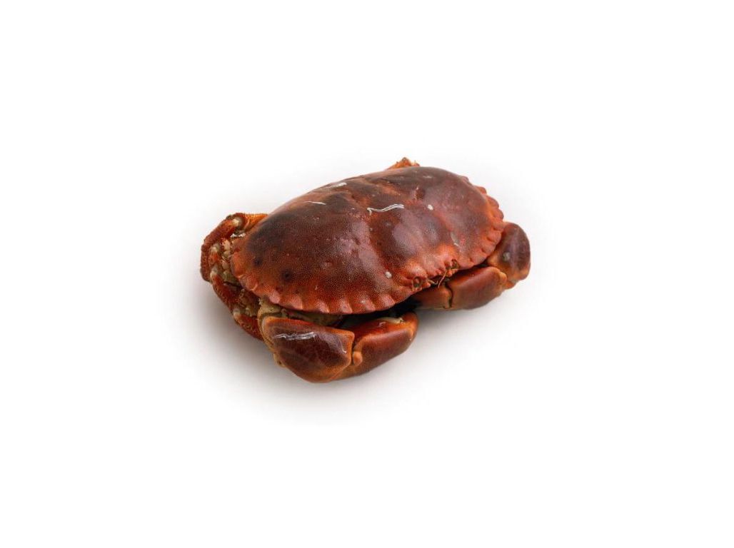 SAPATEIRA UNIDADE 450G image number 0