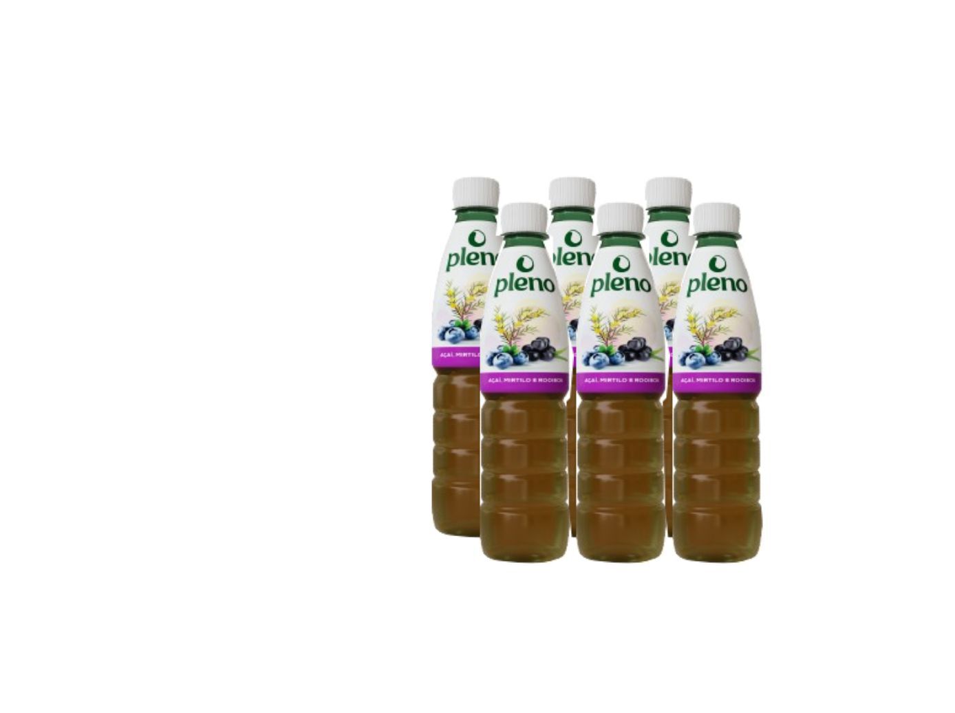 BEBIDA PLENO A&Ccedil;A&Iacute; MIRT.ROOIBOS 6X0.33L(SDR) image number 0