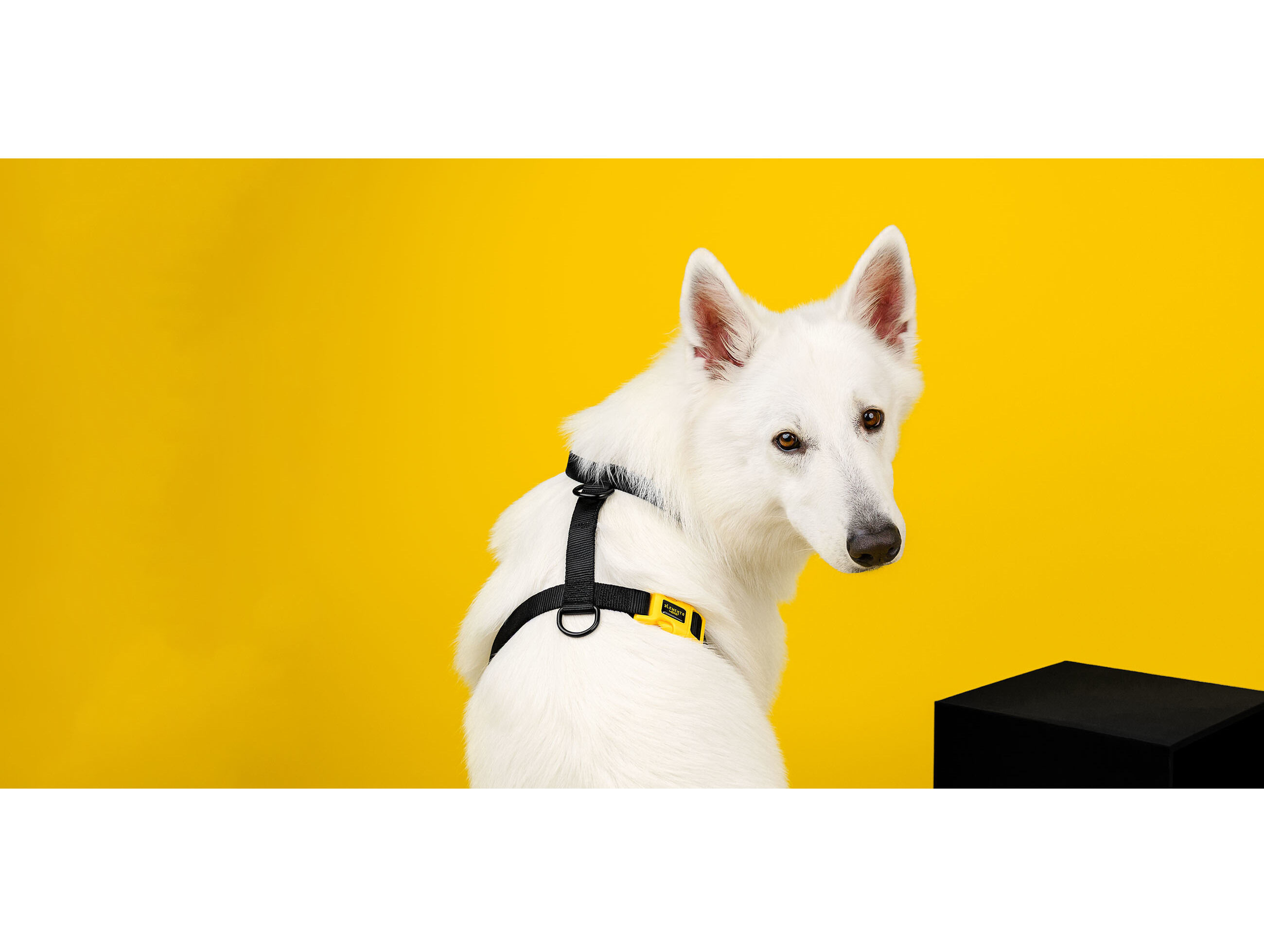 ARN&Ecirc;S PARA C&Atilde;O DASHI ELEMENTS BLACK L image number 1