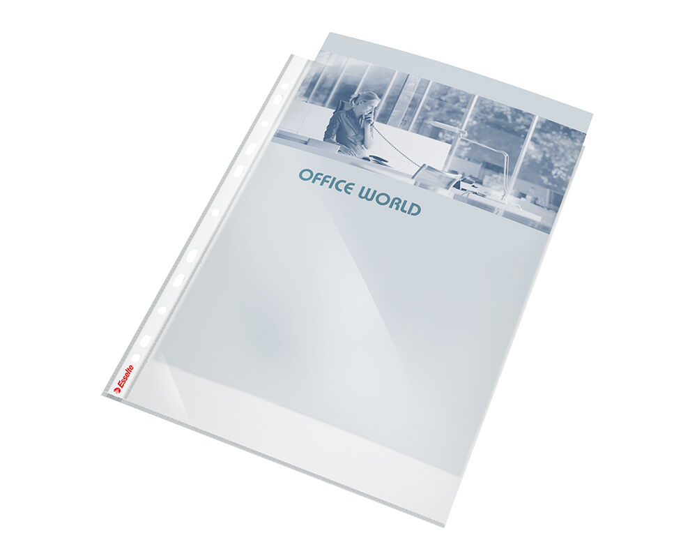 BOLSA CAT&Aacute;LOGO ESSELTE A4 80 MICRONS 10 UNIDADES