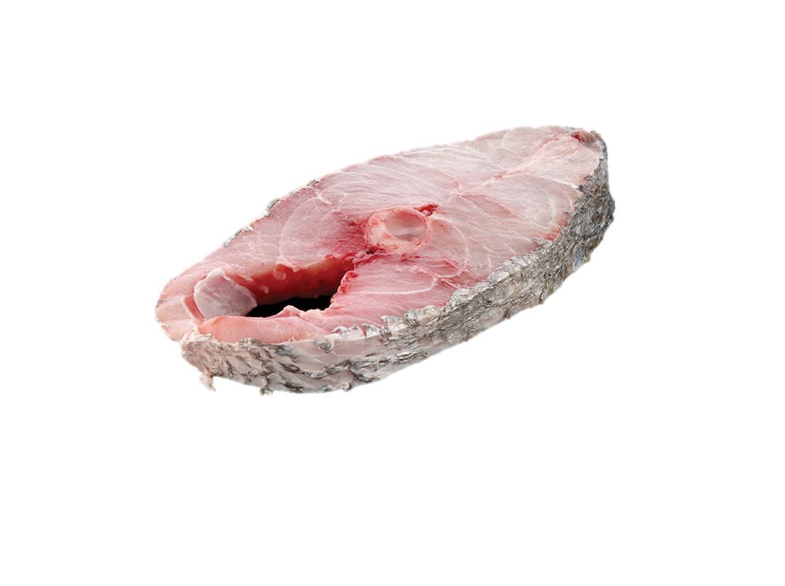 CORVINA AQUICULTURA POSTA KG image number 0