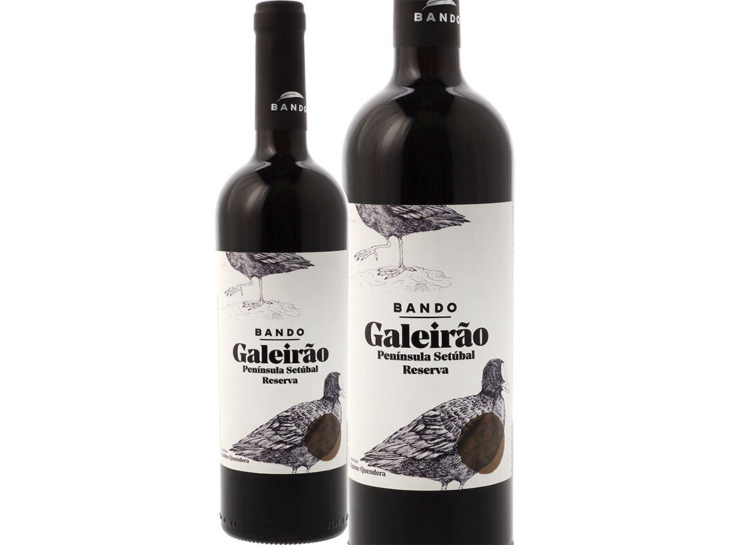 VINHO TINTO BANDO GALEIR&Atilde;O REGIONAL SET&Uacute;BAL RESERVA 0.75L