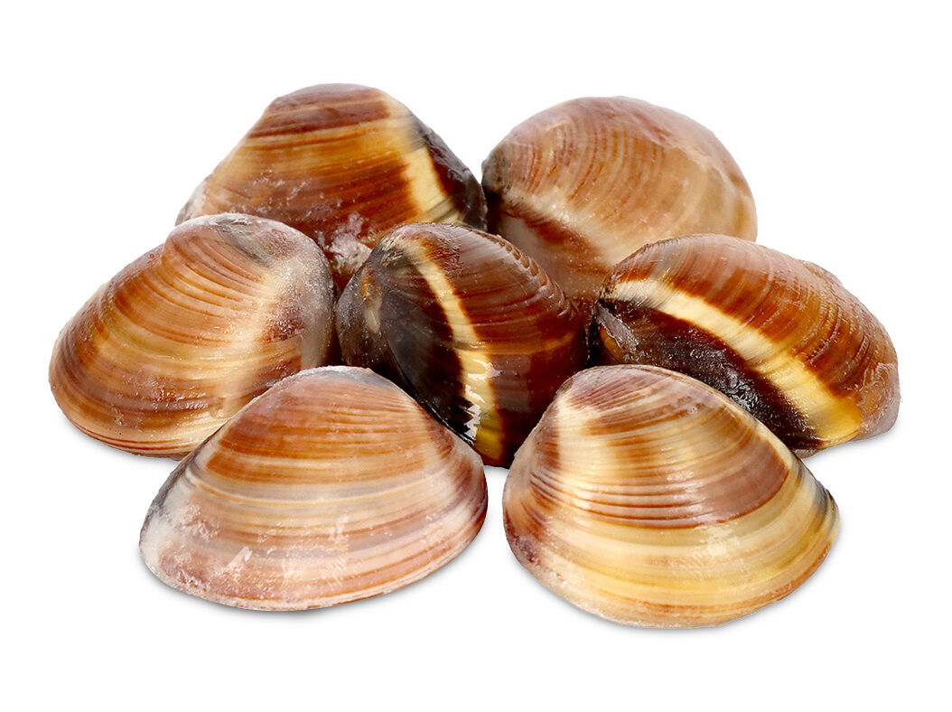 AMEIJOA VIETNAMITA CASTANHA CONGELADA KG