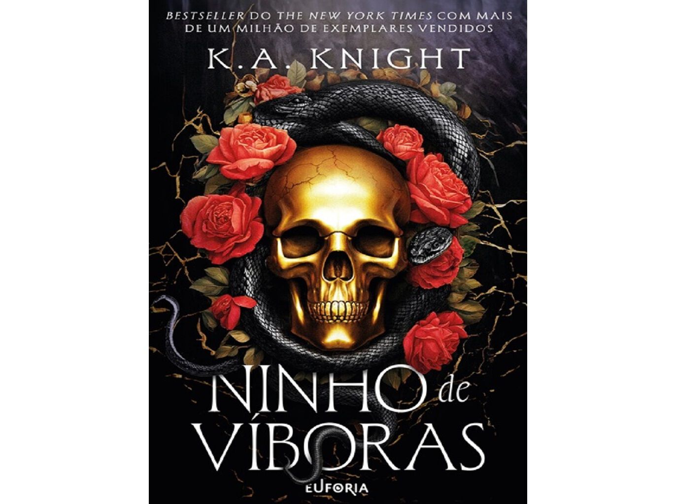 LIVRO NINHO DE V&Iacute;BORAS image number 0