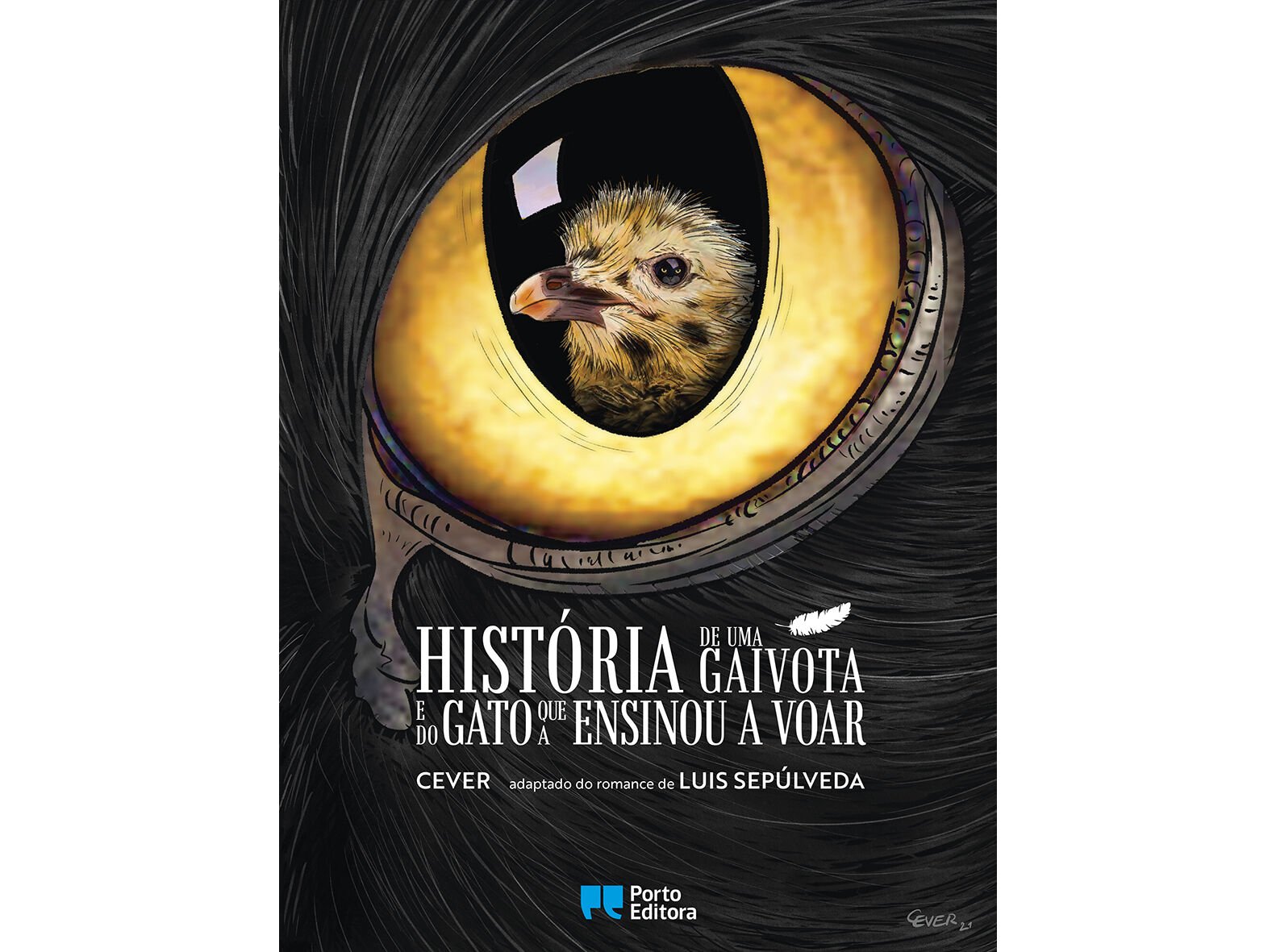 LIVRO HIST&Oacute;RIA DE UMA GAIVOTA E DO GATO QUE A ENSINOU A VOAR image number 0