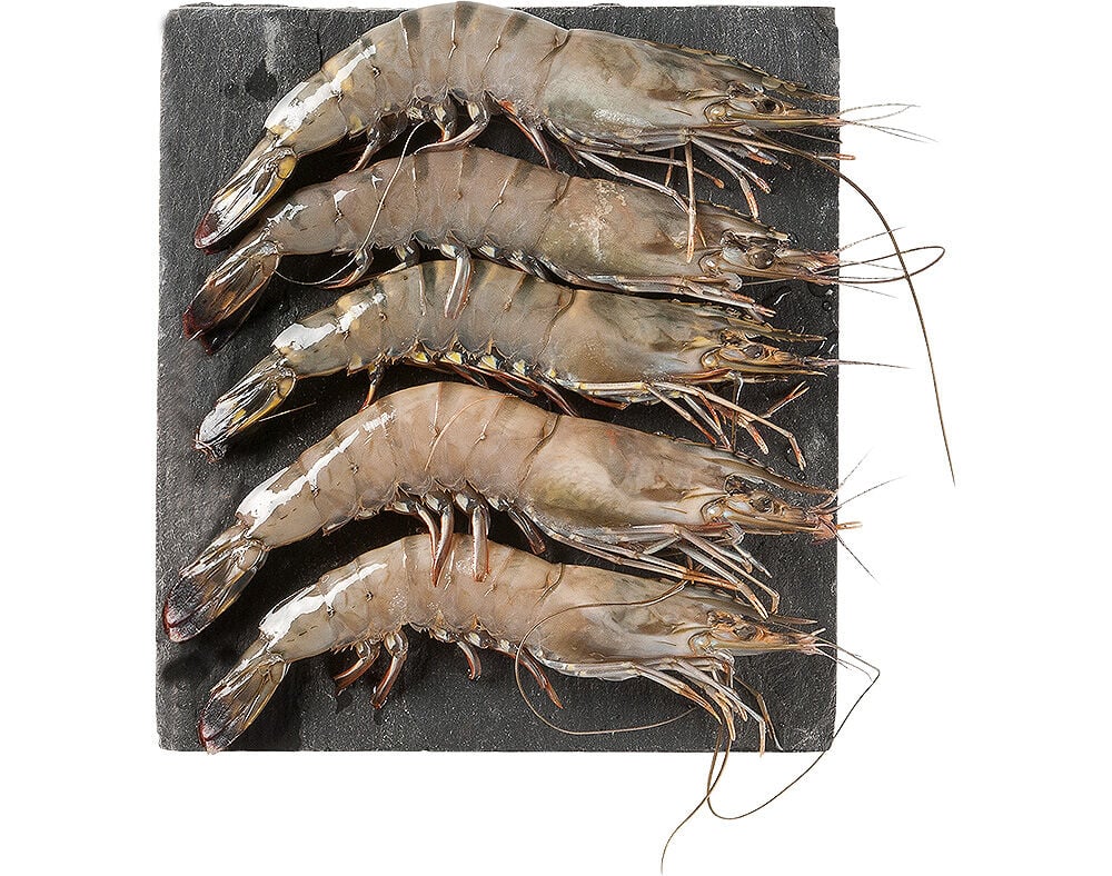 CAMAR&Atilde;O TIGRE MADAG&Aacute;SCAR 10/20 CONGELADO KG image number 0