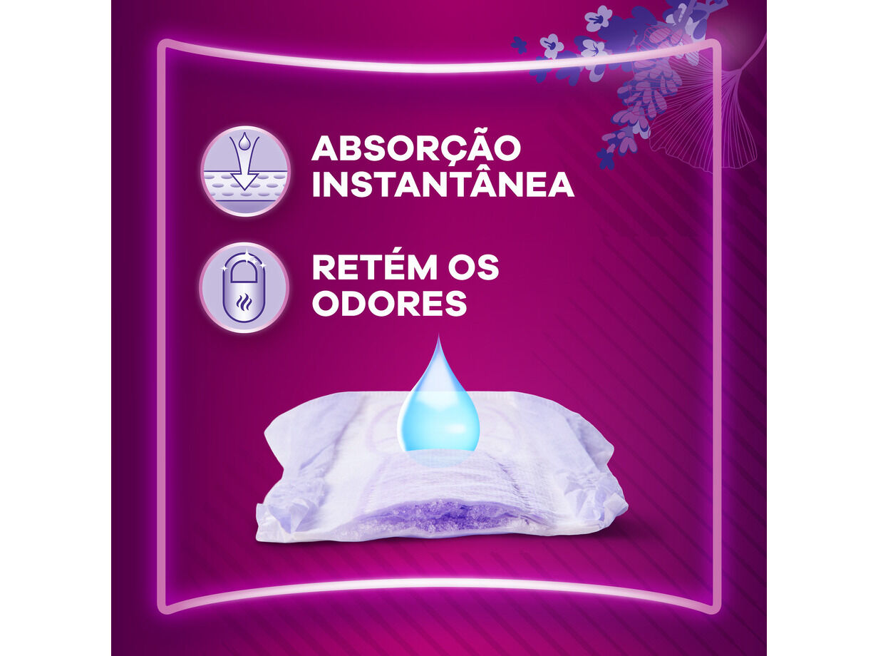 PENSOS AUSONIA DISCREET MAXI 10UN image number 2